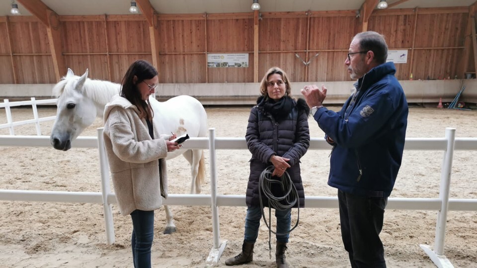 cheval et neurodiversité