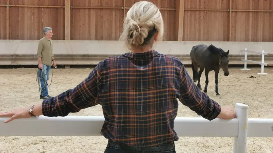 Formation Cheval et neurodiversité : Révéler le potentiel autrement
