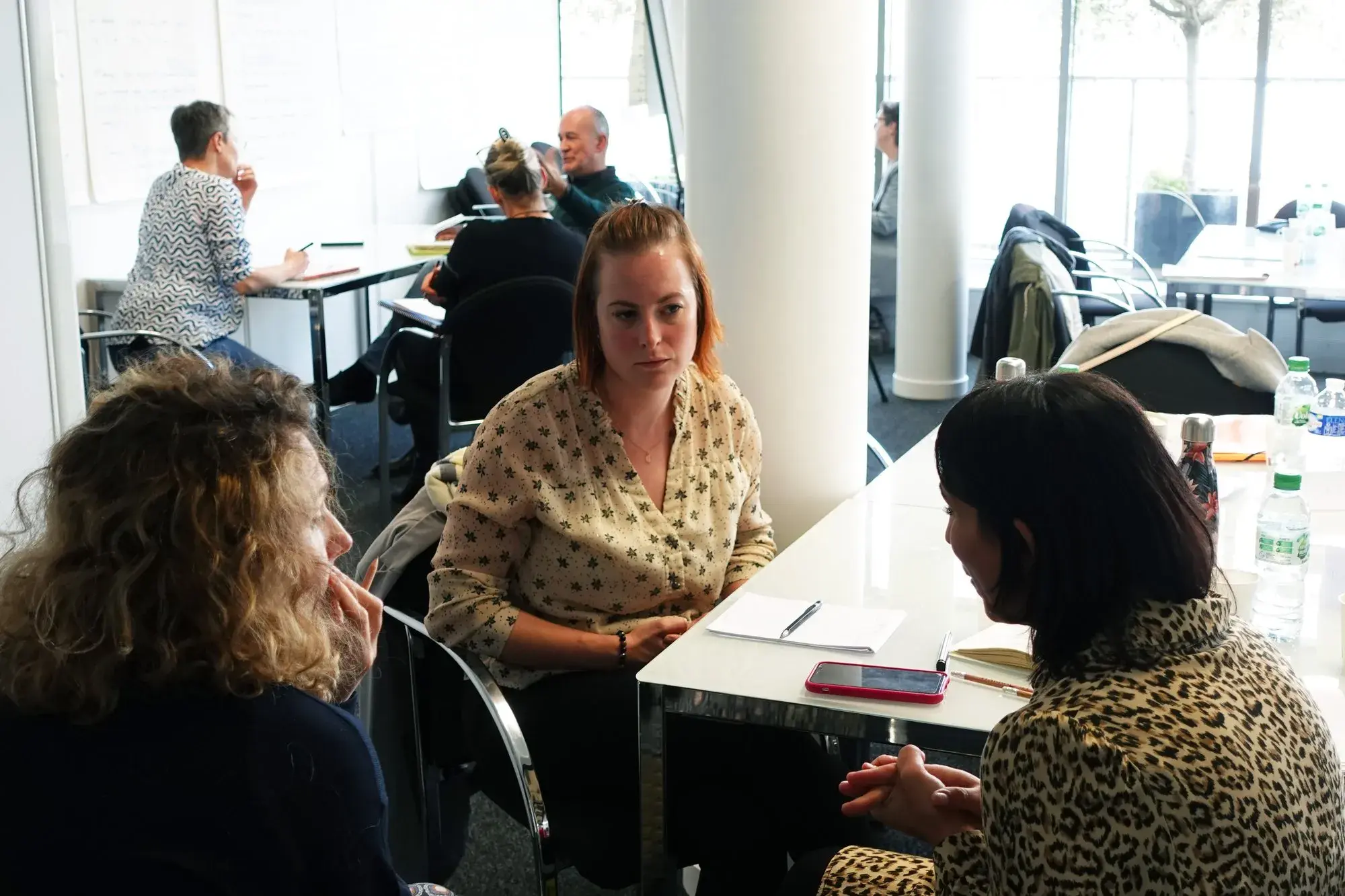 Formation Gérer une demande de coaching professionnel